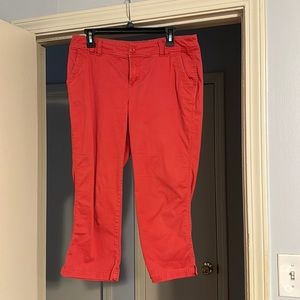 Roz & Ali capri pant